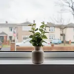 Nyaraló Laburnum House By Horizon Redcar
